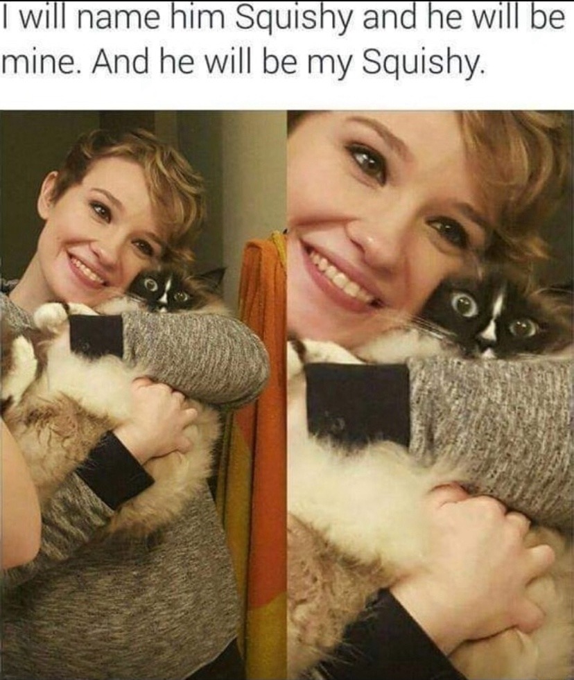 squishy - meme