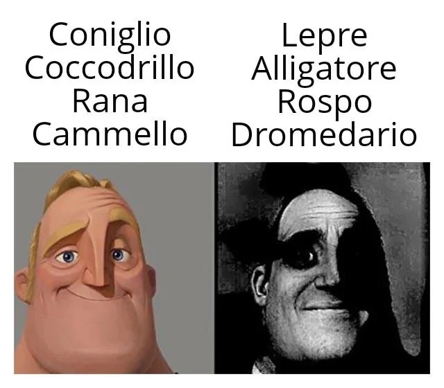 Quando da piccolo tuo padre ti correggeva i nomi degli animali... - meme