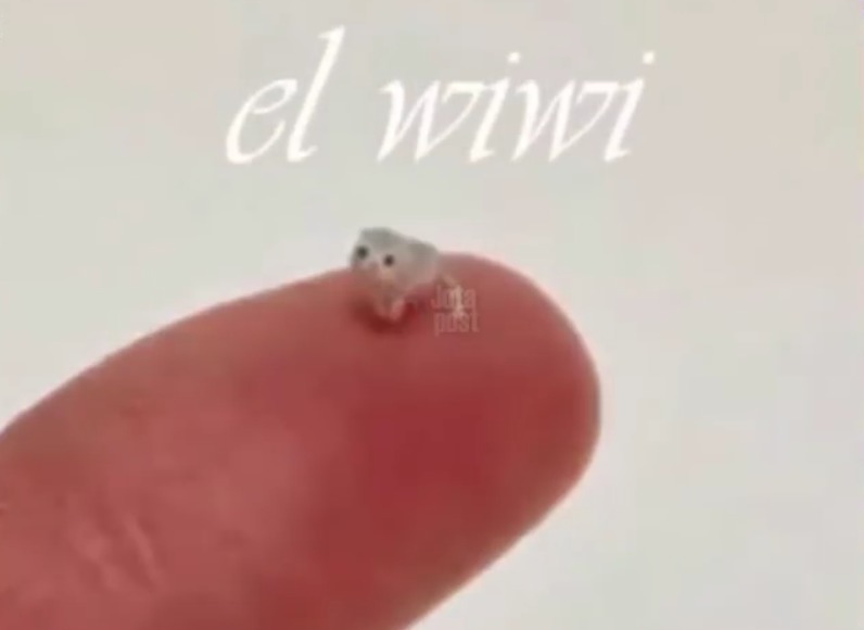 El wiwi - meme