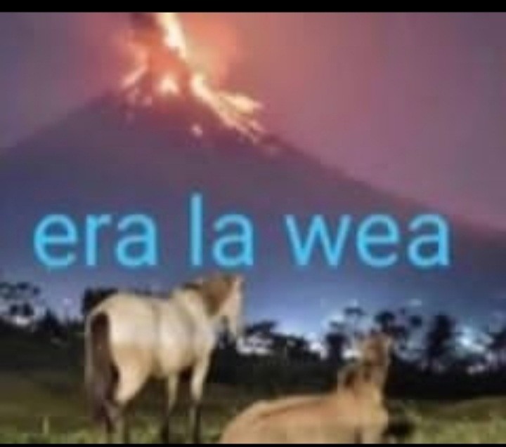 Era la wea - meme