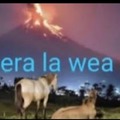 Era la wea