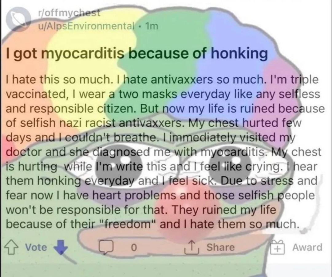 [REDDIT] I got myocarditis because of honking - meme