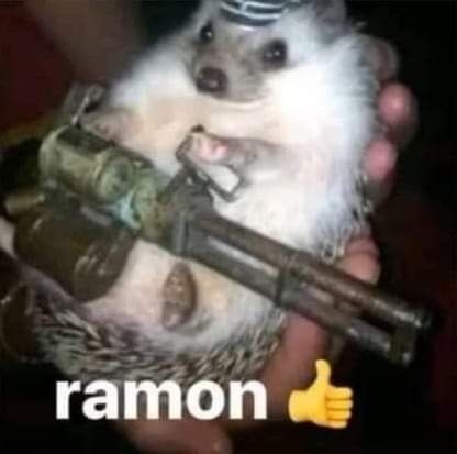 Ramon :cool: - meme