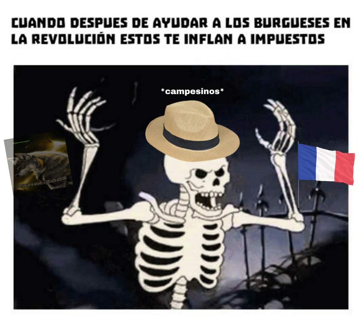 Rev Francesa - meme
