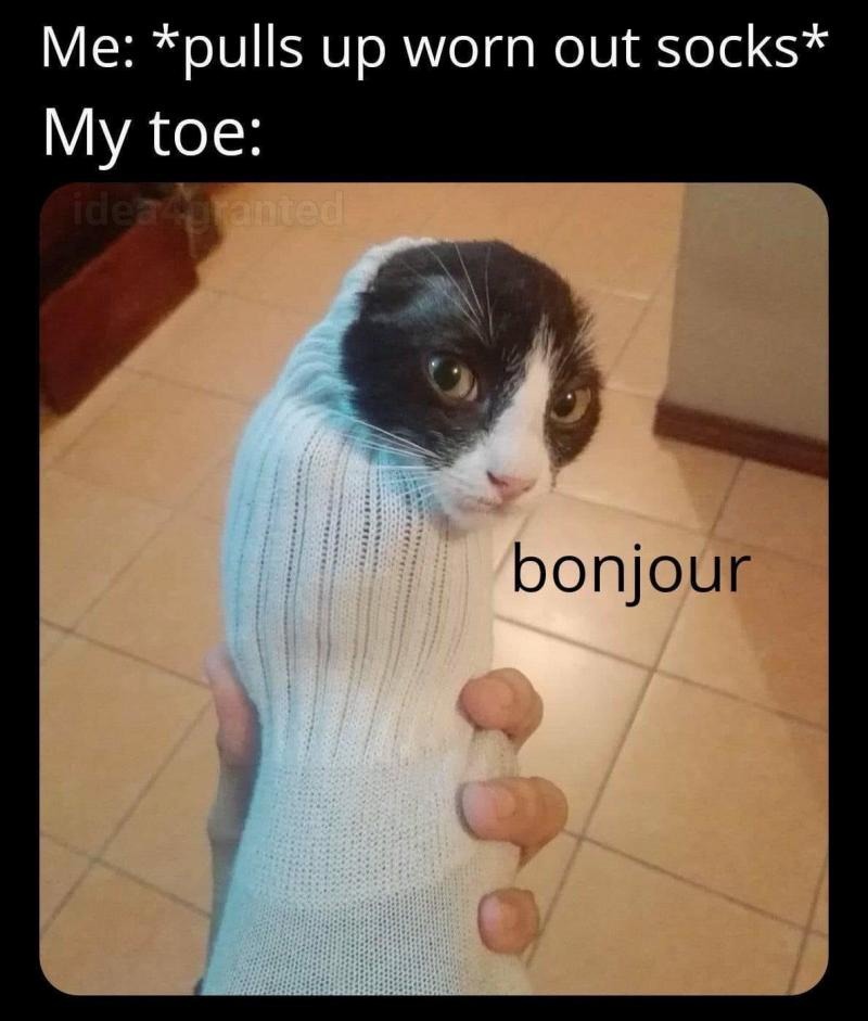My toe - meme