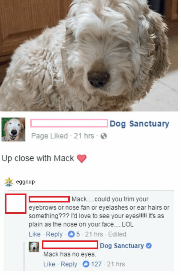 Poor Mack - meme
