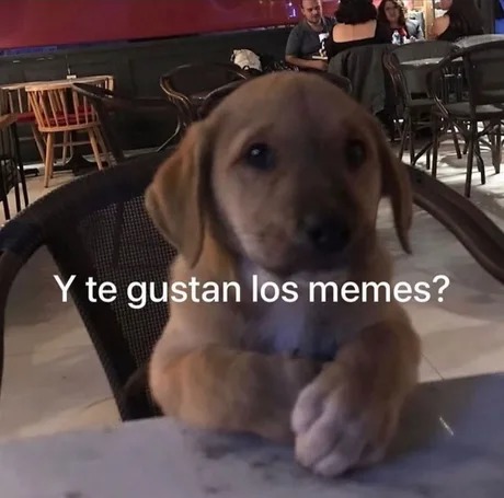 yo ligando en la primera cita - meme