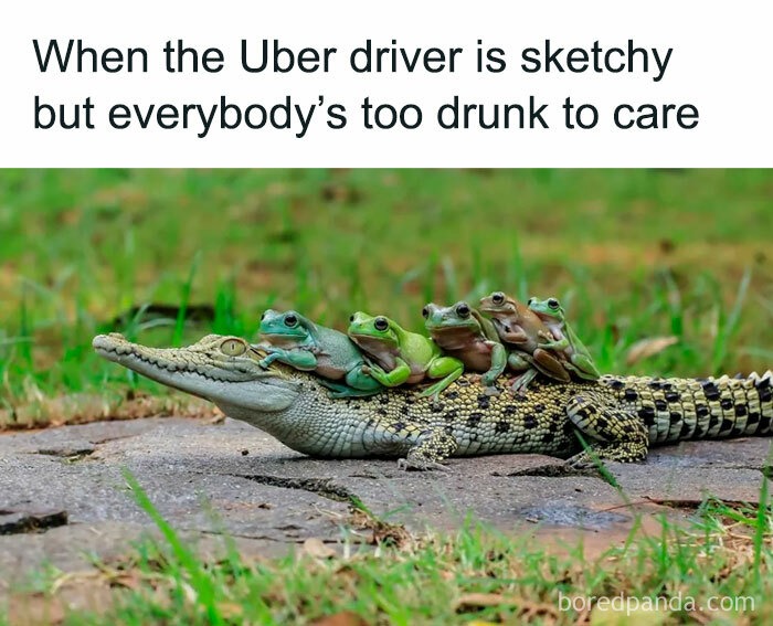 meme