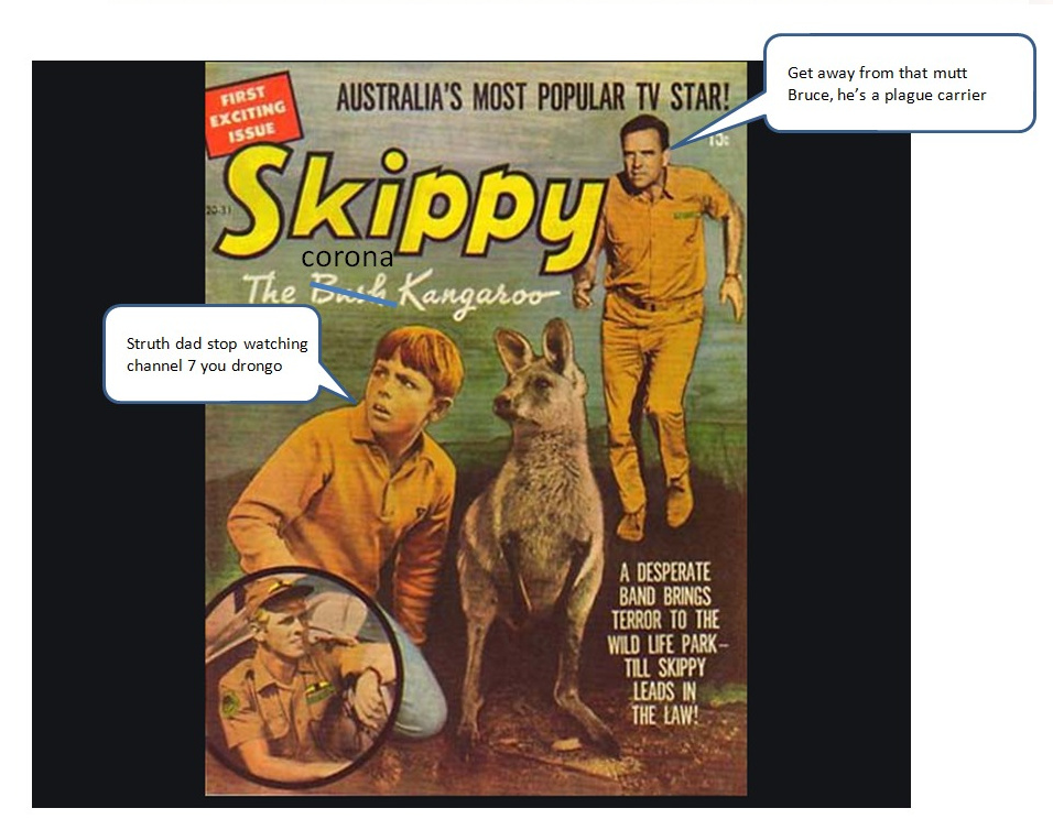 Skippy the covid kangaroo - meme