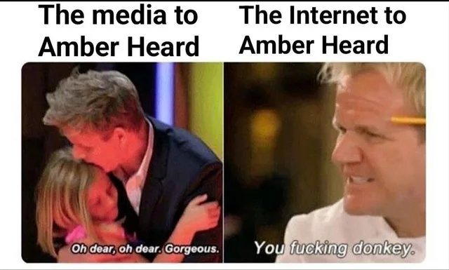 Media vs Reality - meme