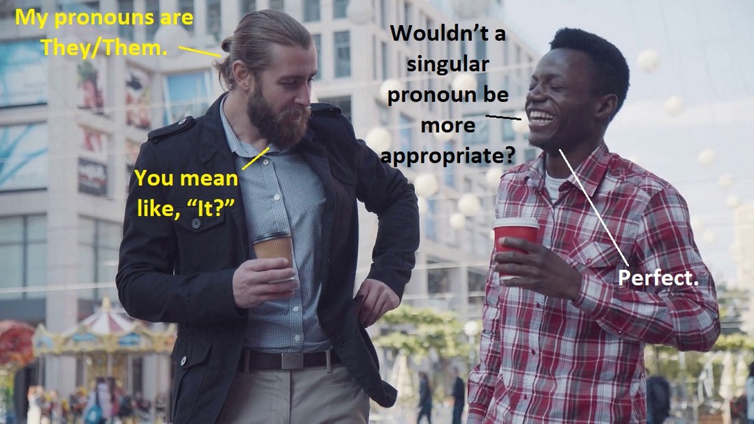 It's time to play "What's My Pronoun!" - meme