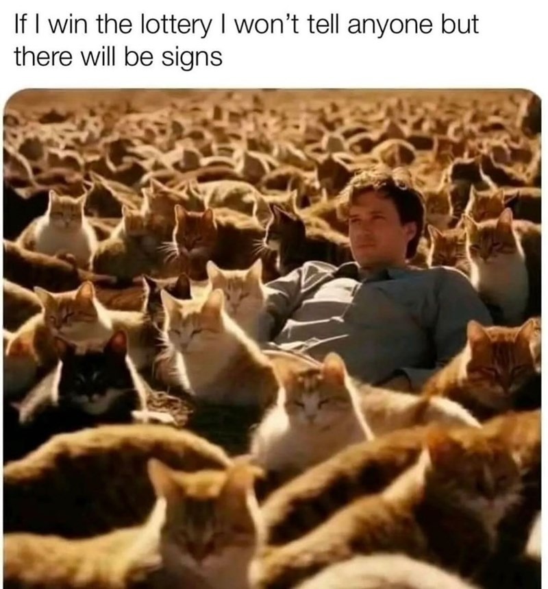 Cat sea - meme