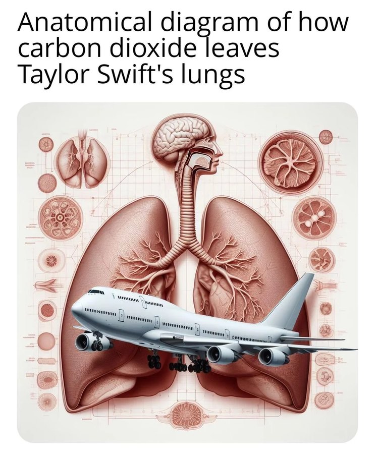Too late for this Taylor Swift meme