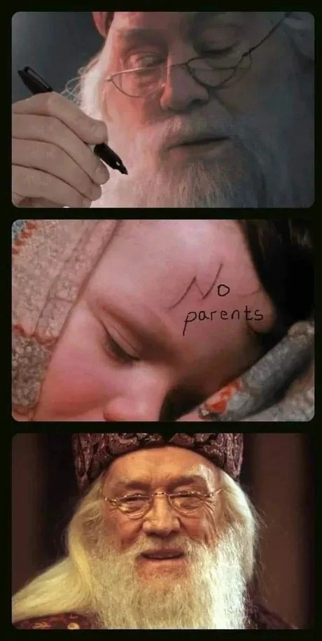 Funny Dumbledore - meme