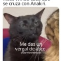 Relación de Mace Windu con Anakin