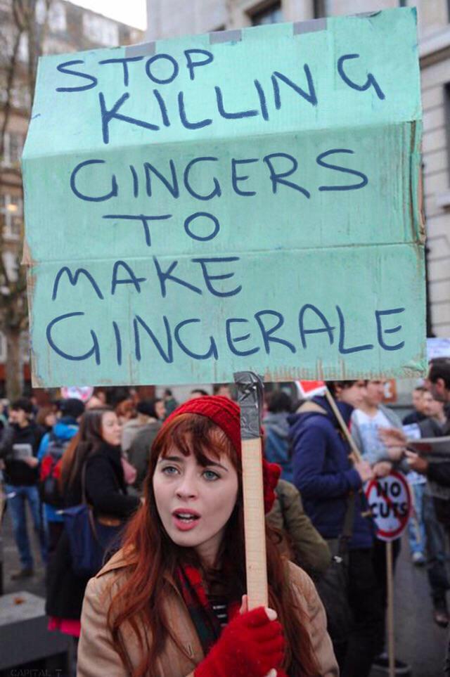Stop killing gingers to make gingerale - meme