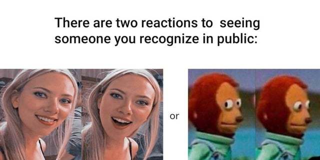Two types of reactions to seeing someone you recognize in public - meme
