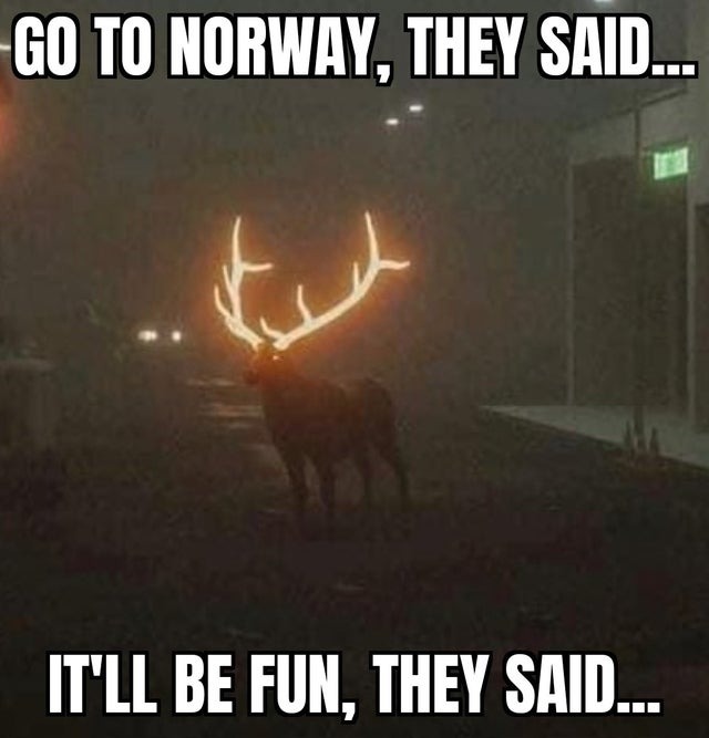 Go to Norway, it will be fun! - meme