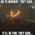 Go to Norway, it will be fun!