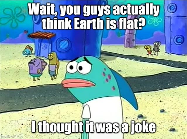 Earth is flat? - meme