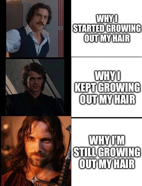 Yes, that was a hairstyle to be proud of - meme