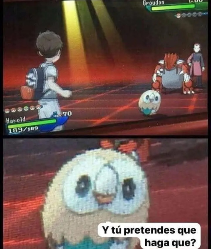 Meme 