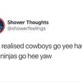 Ninjas are just reverse Cowboys