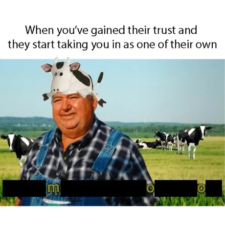 I'm one of the cows - meme