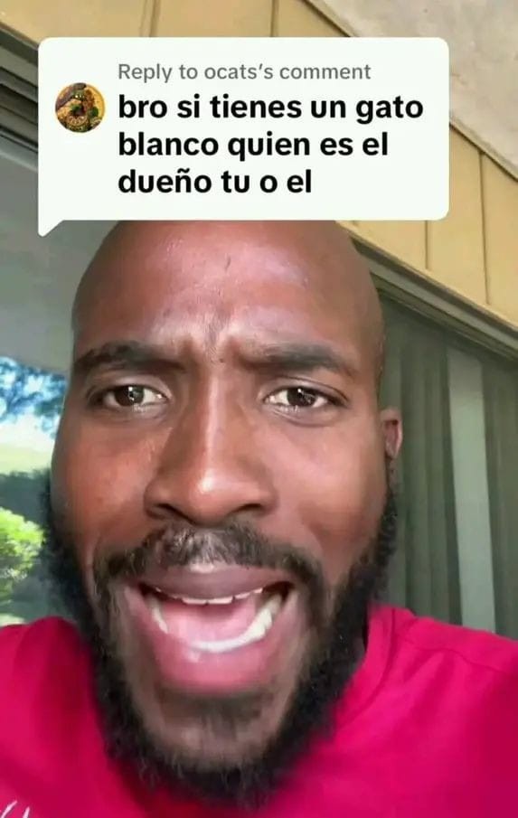 Introduce el meme al titulo