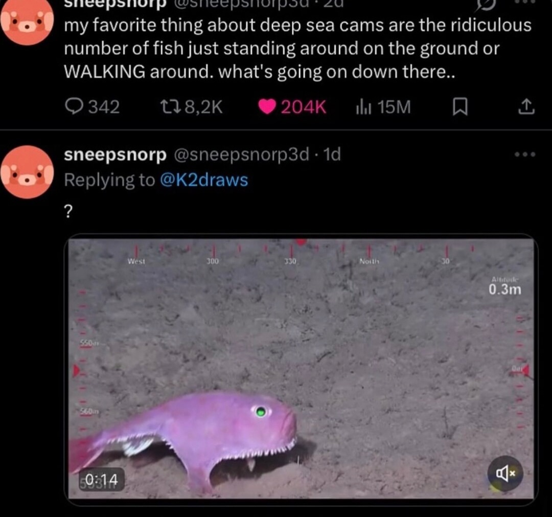 ﻿Sheepsiuip @shcepshoipou 2d  my favorite about deep sea cams are the ridiculous number of fish just standing around on the ground or WALKING around: what’$ going on down there- 0342 118,2K 204K I 15M L sneepsnorp @sneepsnorp3d Id Replying to @K2draws 2 JJuu JJ0 utat 0.3m1 SGu 0314 thing