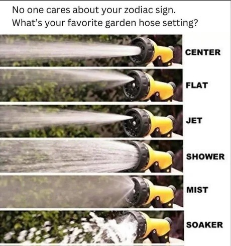 Forget your zodiac sign. Shower or jet? - meme