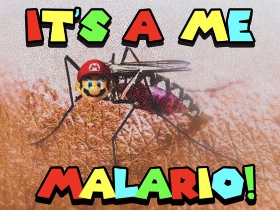 malario - meme