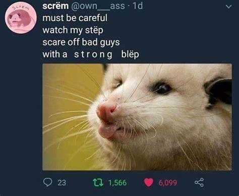 Possum - meme