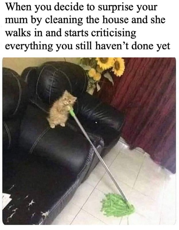 Surprise cleaning the house for mum but she starts criticizing what you haven’t done yet - meme