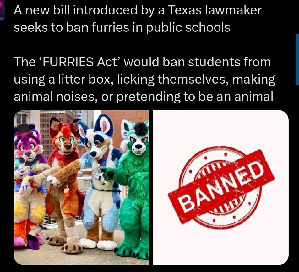 Texas lawmaker introduces bill to ban furries in public schools. Yep, you read that right - meme