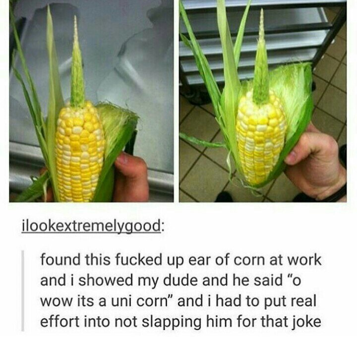 Uni-corn - meme