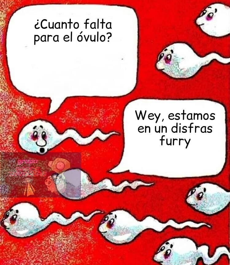Top memes de furrys en español :) Memedroid