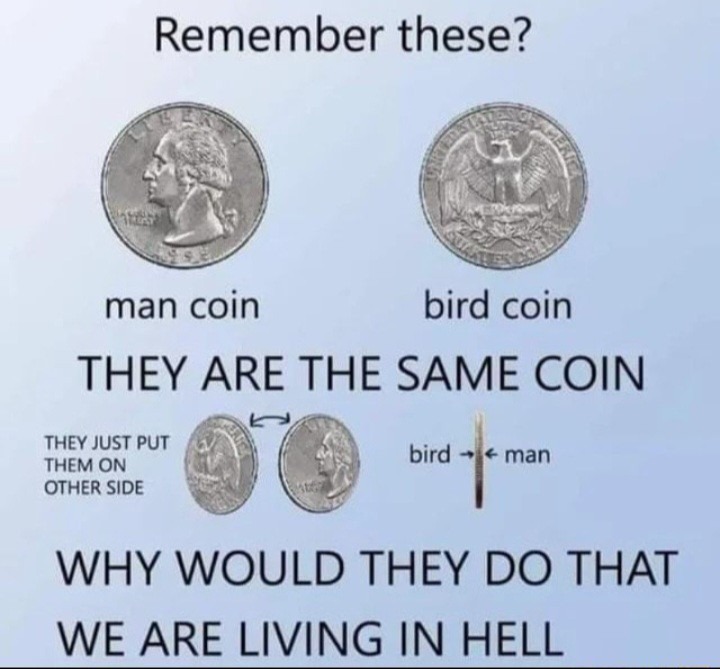 Birdcoins - meme