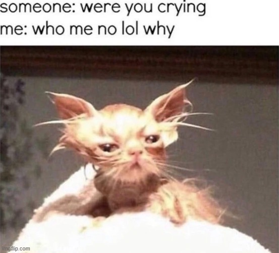 Were you crying - meme