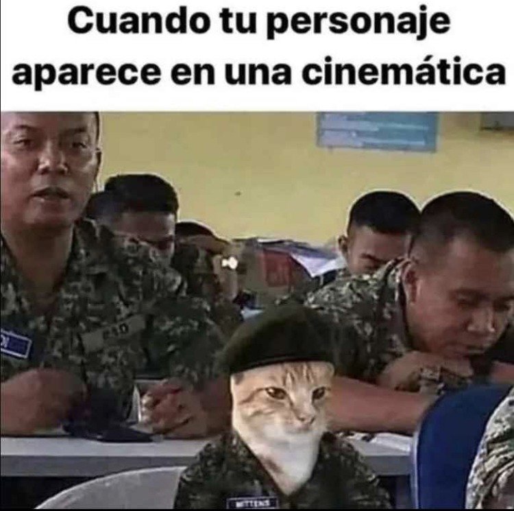 Michi tactico = mrd - meme