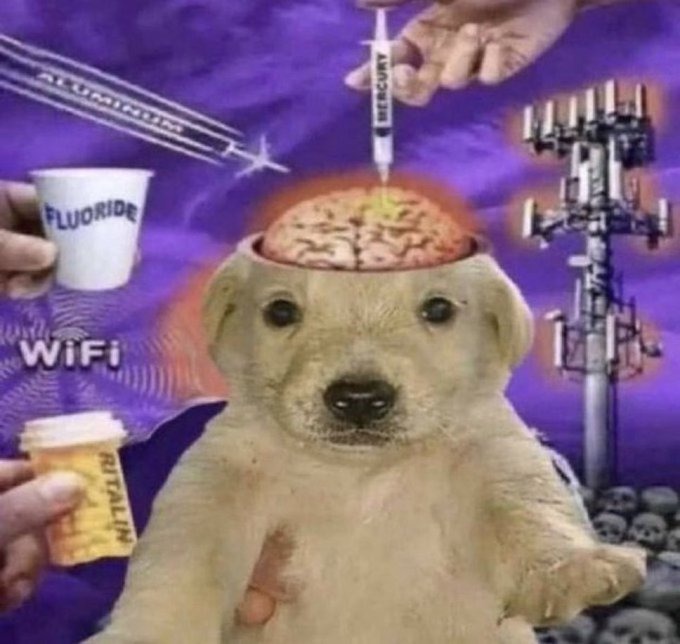 everything is poison - meme