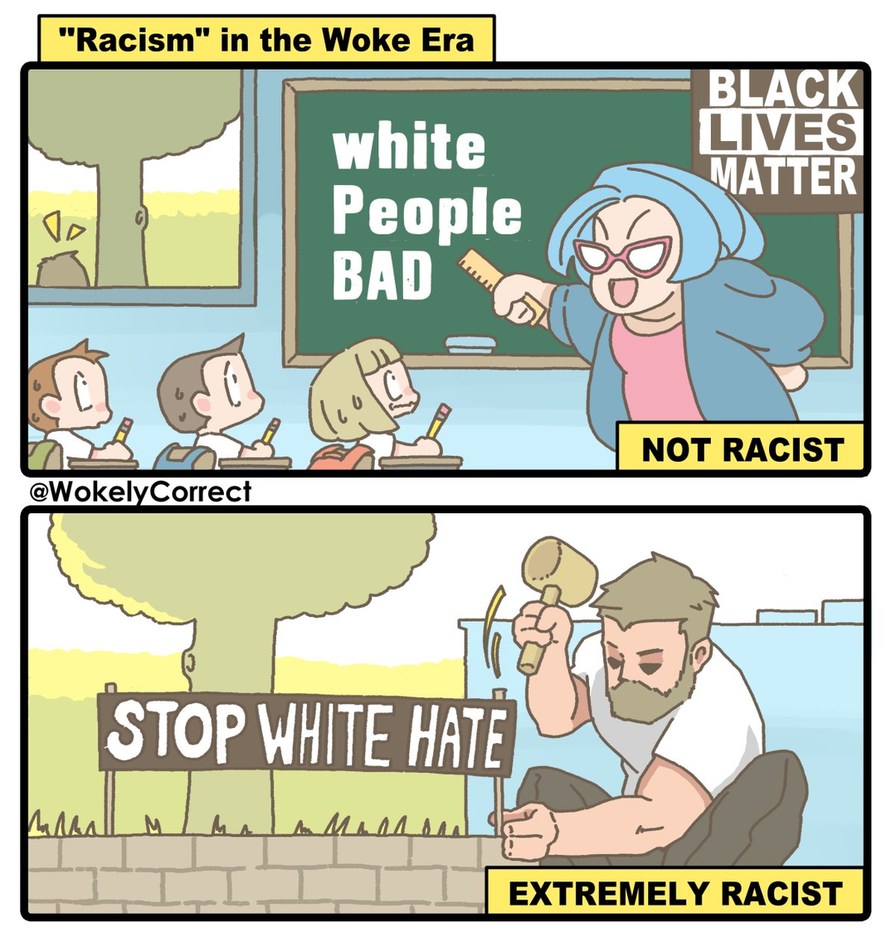 Racism in the woke era - meme