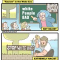 Racism in the woke era
