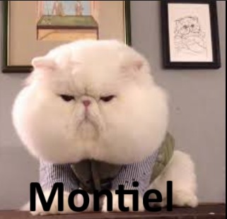 Montiel - meme