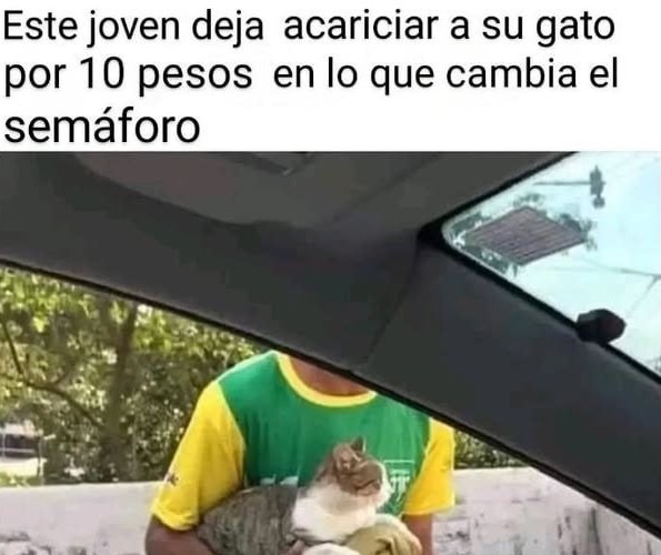 10 pesos por acariciar al michi, negocio redondo - meme