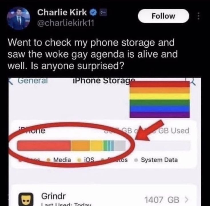 Stupid gay agenda... - meme