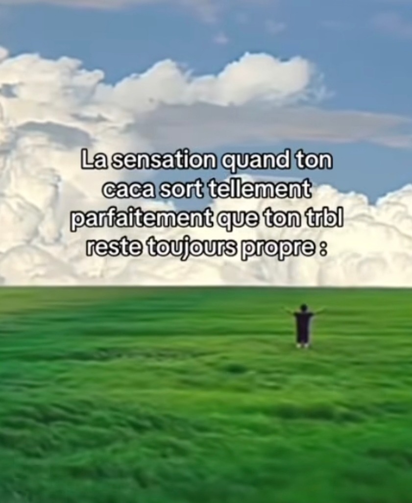 moment parfait - meme