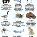 Animal survival guide.