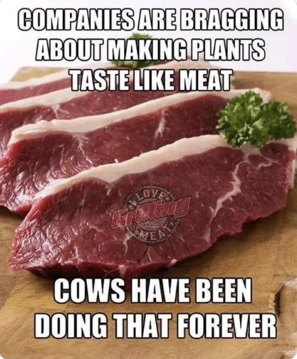 Vegans Taste Like Beef - meme