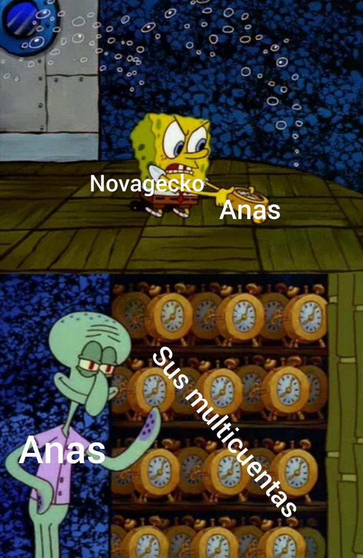 Anas - meme